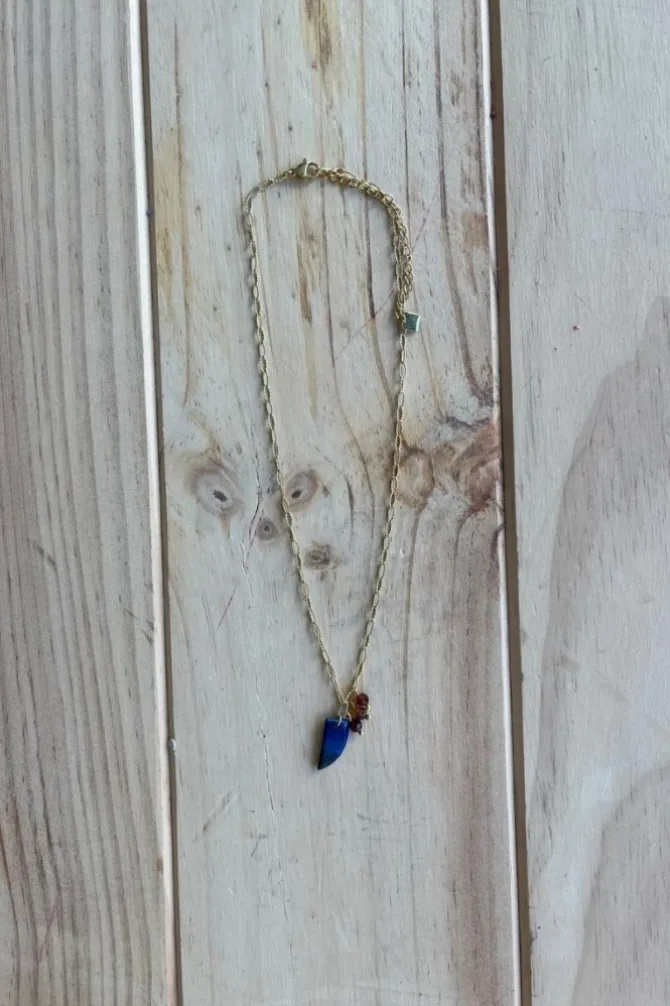 Collar dorado con cuerno pequeño marino